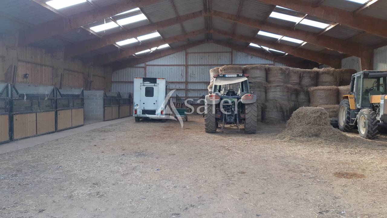 Propriet&agrave; equestre In vendita Mayenne