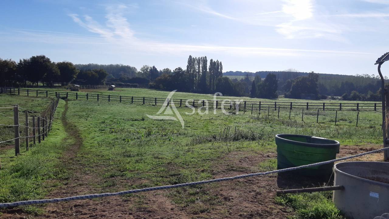 Propriet&agrave; equestre In vendita Mayenne