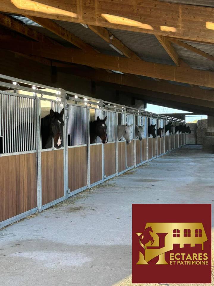 Scuderia per proprietari In vendita Sa&ocirc;ne-et-Loire