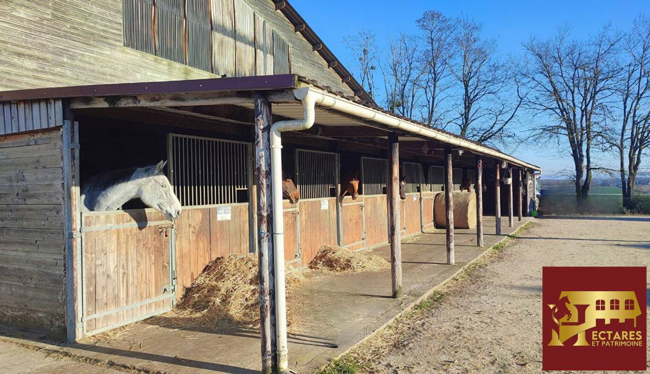 Scuderia per proprietari In vendita Sa&ocirc;ne-et-Loire