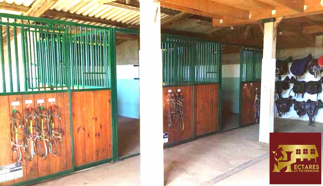 Scuderia per proprietari In vendita Sa&ocirc;ne-et-Loire