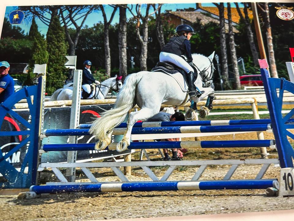 !!Vendita!! pony connemara 