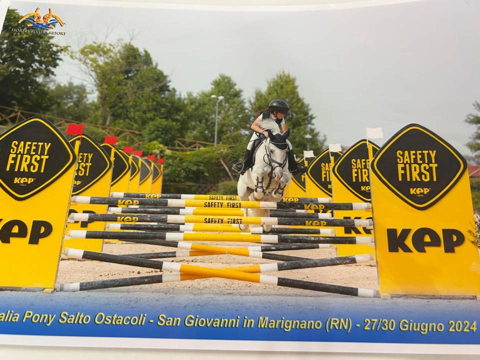 !!Vendita!! pony connemara 