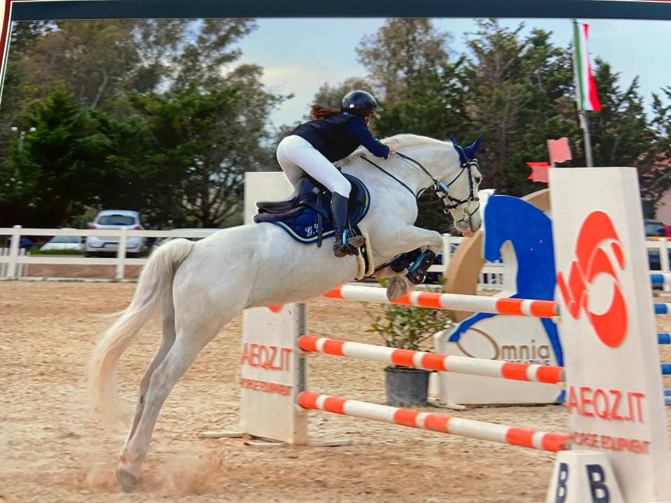 !!Vendita!! pony connemara 