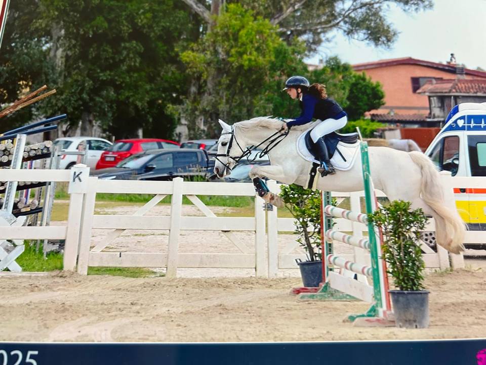 !!Vendita!! pony connemara 