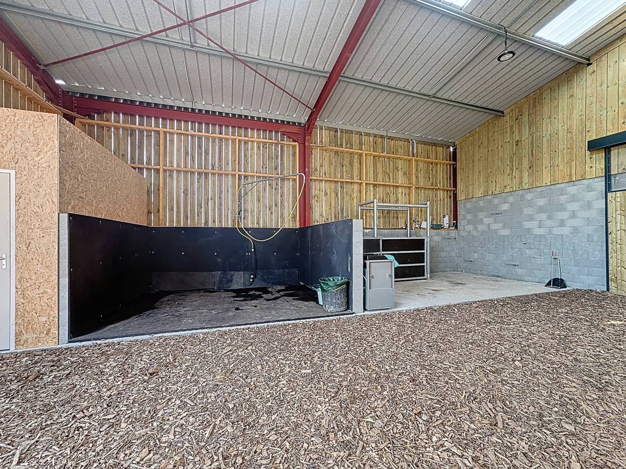 Centro di stagione cavallo In vendita Orne