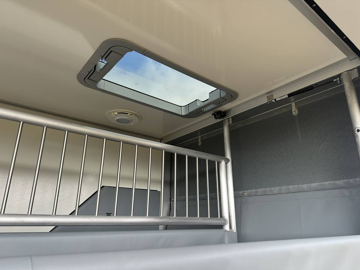 Van per Cavalli Altra marca NISSAN 0 Nuovo