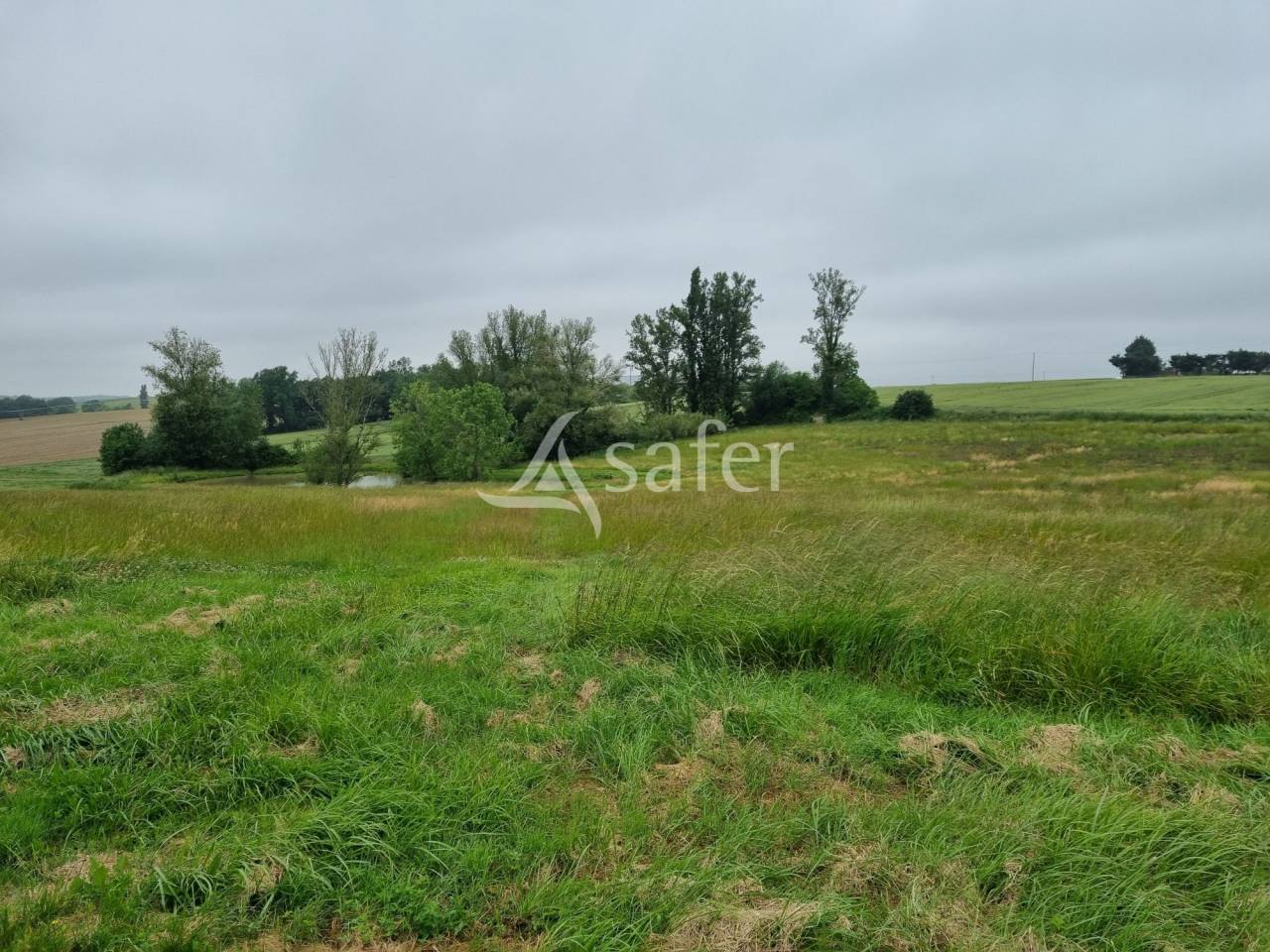 Azienda agricola In vendita Haute-Garonne