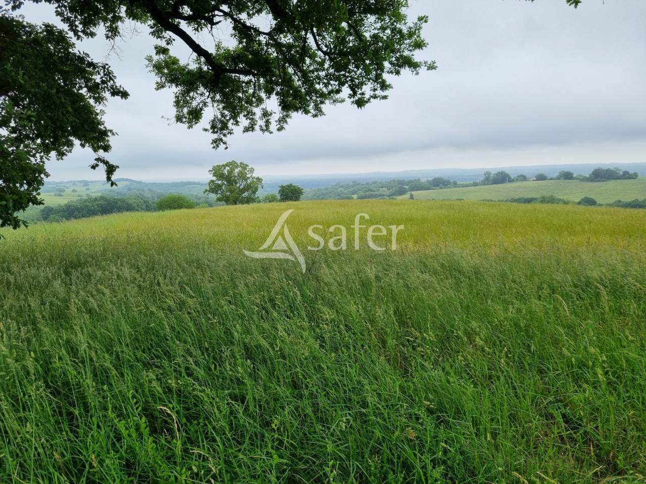 Azienda agricola In vendita Haute-Garonne