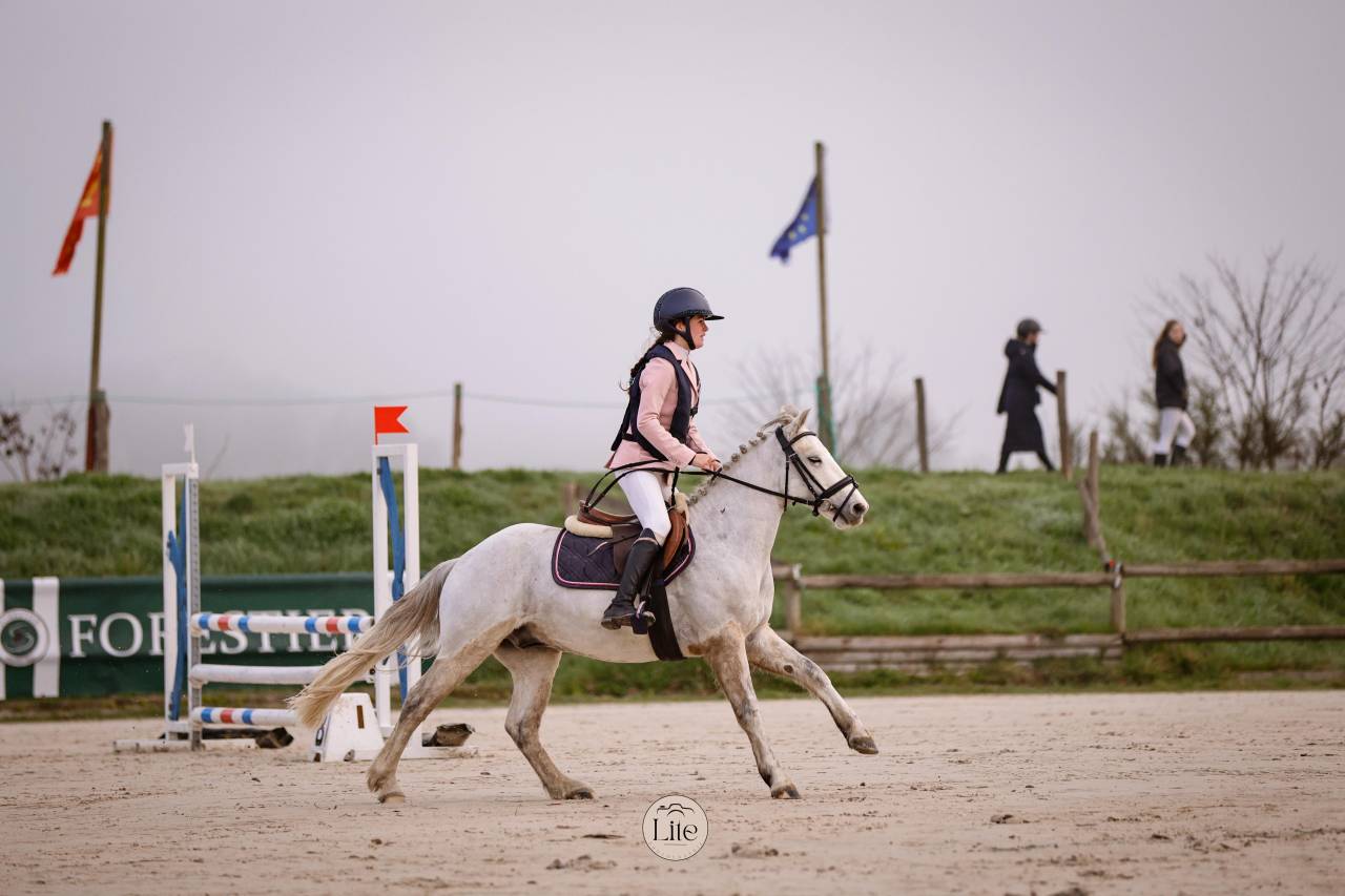 Castrone Connemara In vendita 2021 Grigio