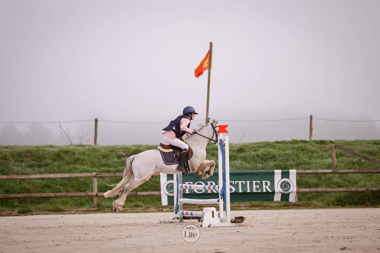 Castrone Connemara In vendita 2021 Grigio