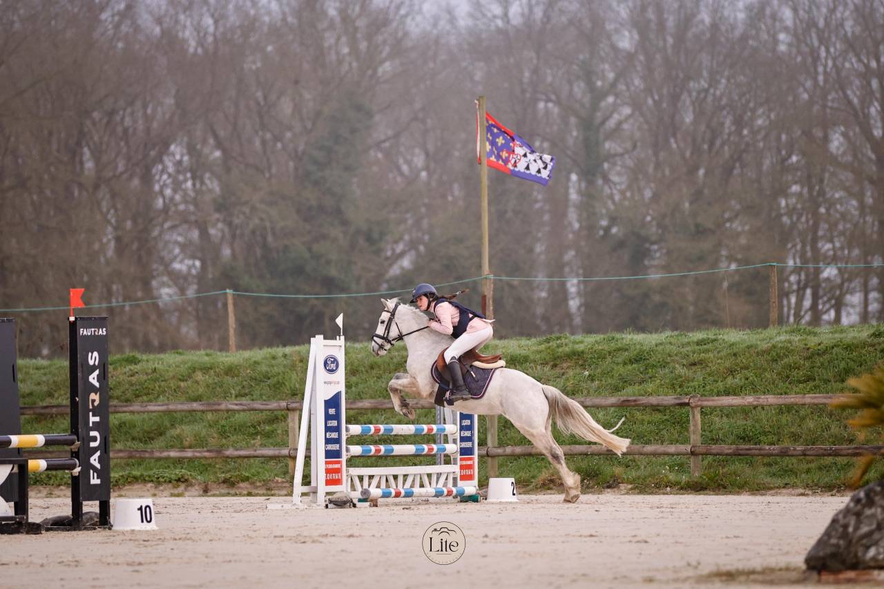 Castrone Connemara In vendita 2021 Grigio