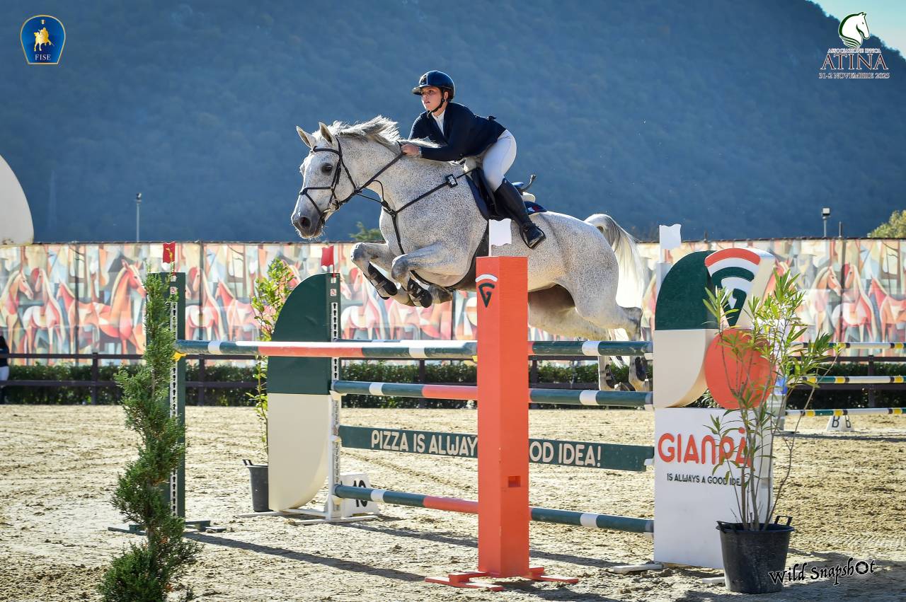 Cavalla Holsteiner del 2012 figlia diretta di Casall 