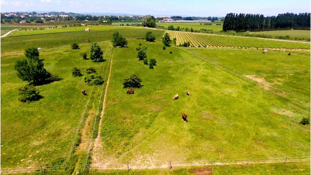 Propriet&agrave; equestre In vendita Gard