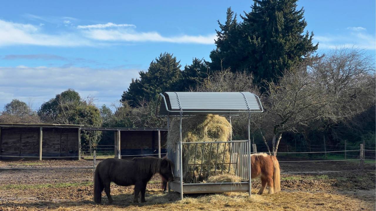Propriet&agrave; equestre In vendita Gard