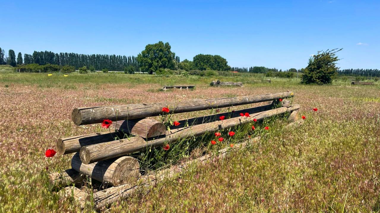 Propriet&agrave; equestre In vendita Gard