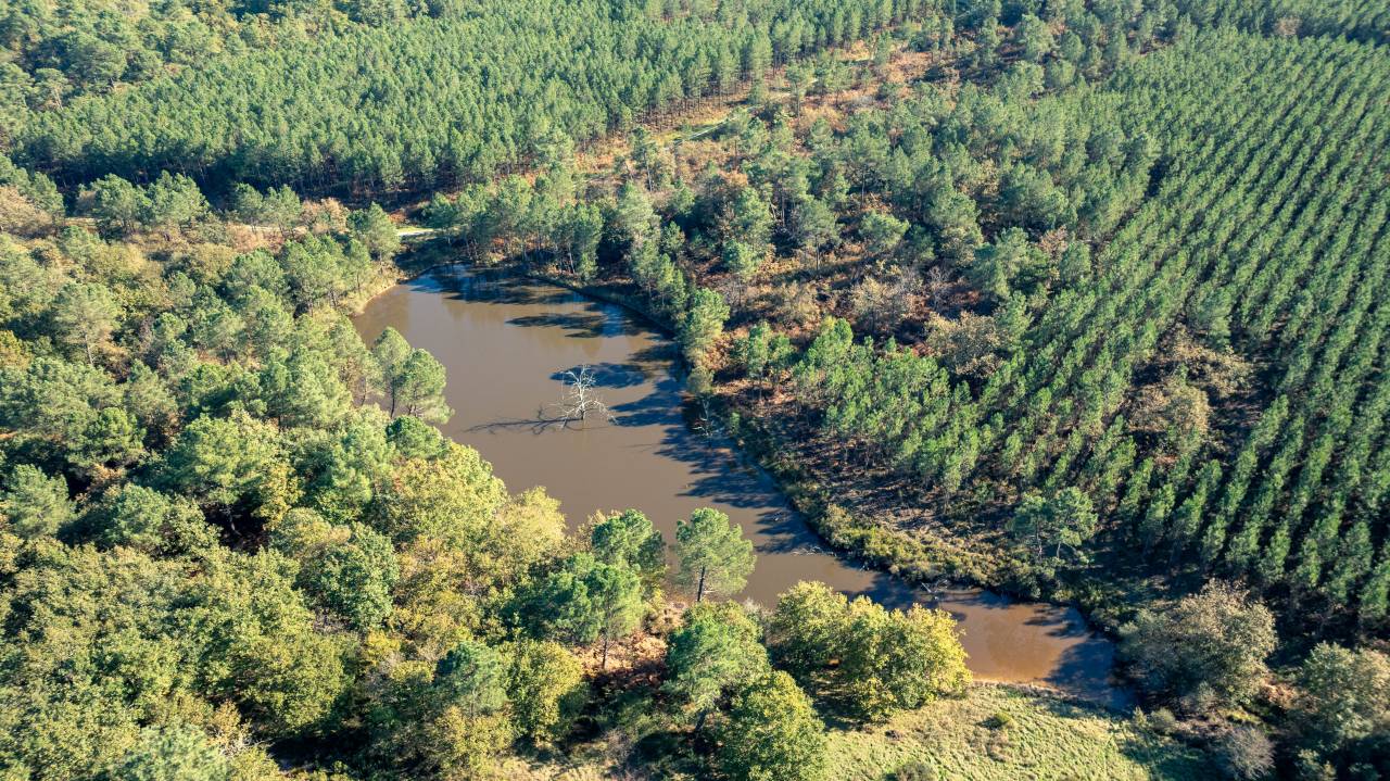 Propriet&agrave; equestre In vendita Charente