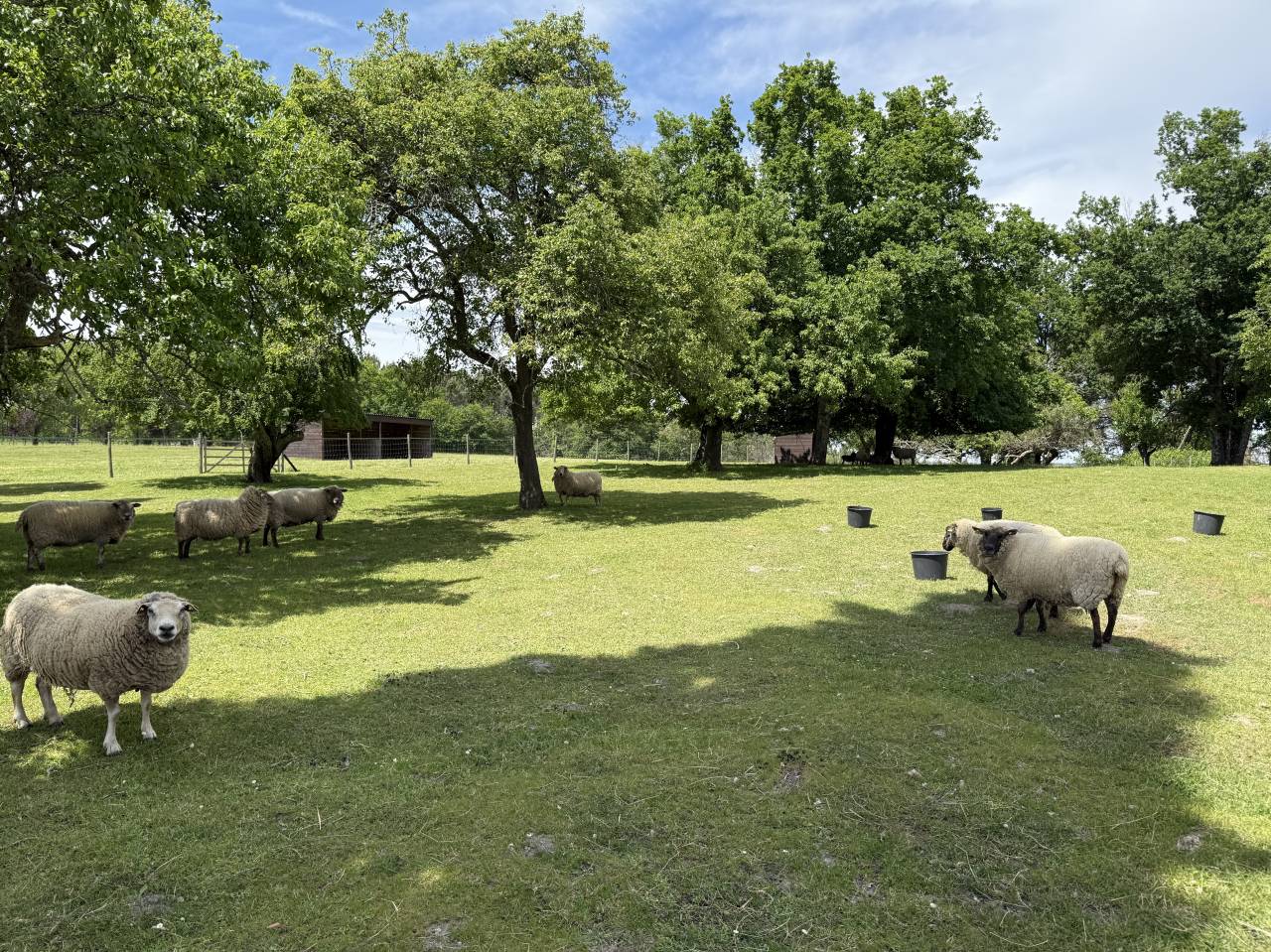 Propriet&agrave; equestre In vendita Charente