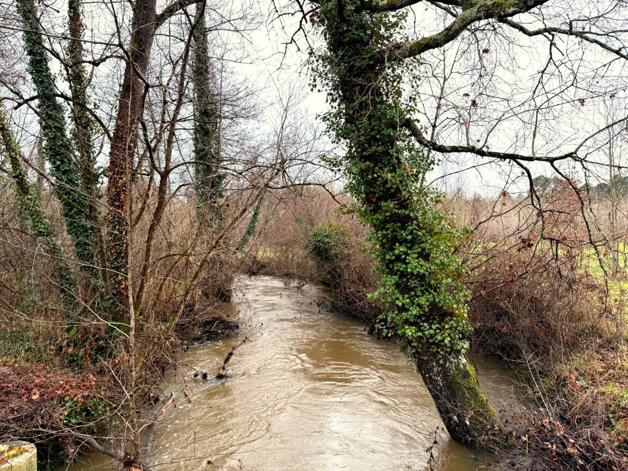 Propriet&agrave; equestre In vendita Charente-Maritime