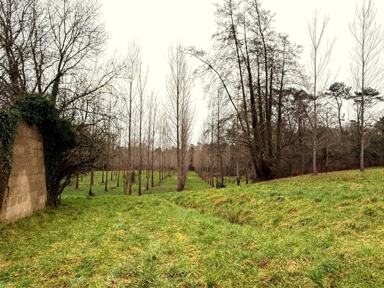 Propriet&agrave; equestre In vendita Charente-Maritime
