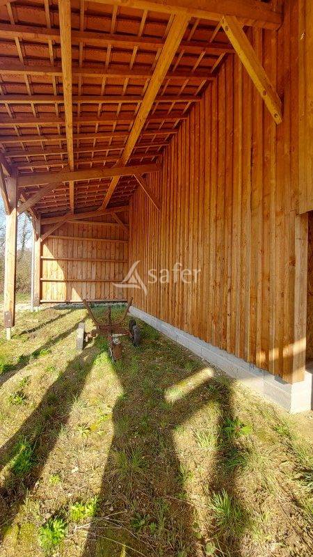 Azienda ovina In vendita Gironde