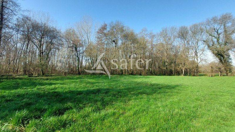 Azienda ovina In vendita Gironde