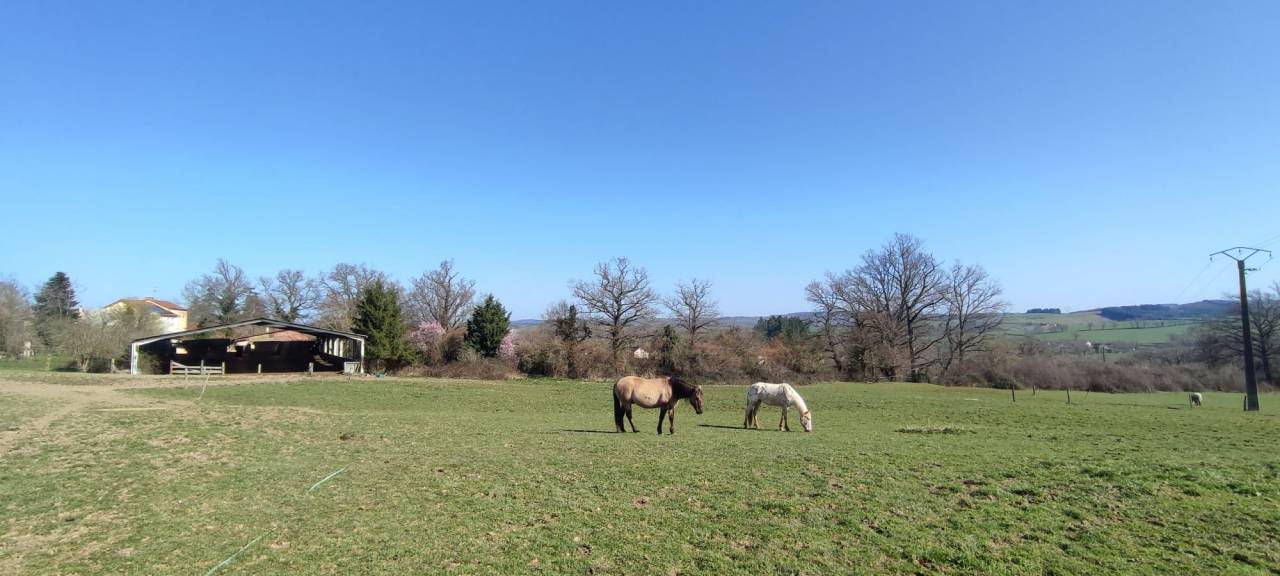 Scuderia per proprietari In vendita Allier