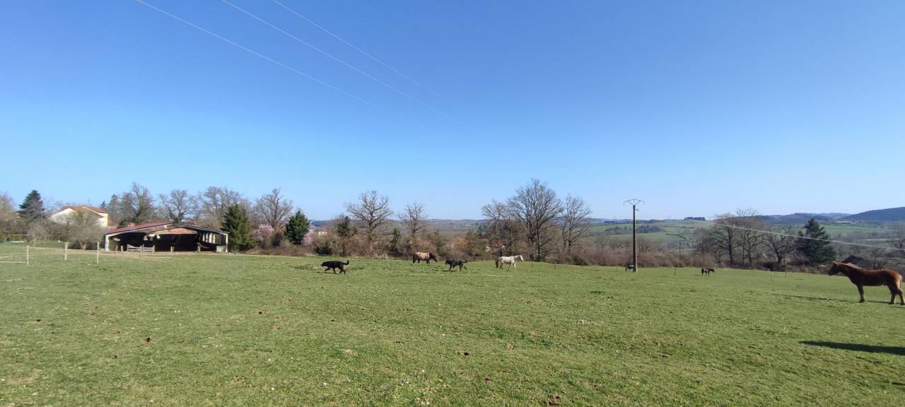 Scuderia per proprietari In vendita Allier