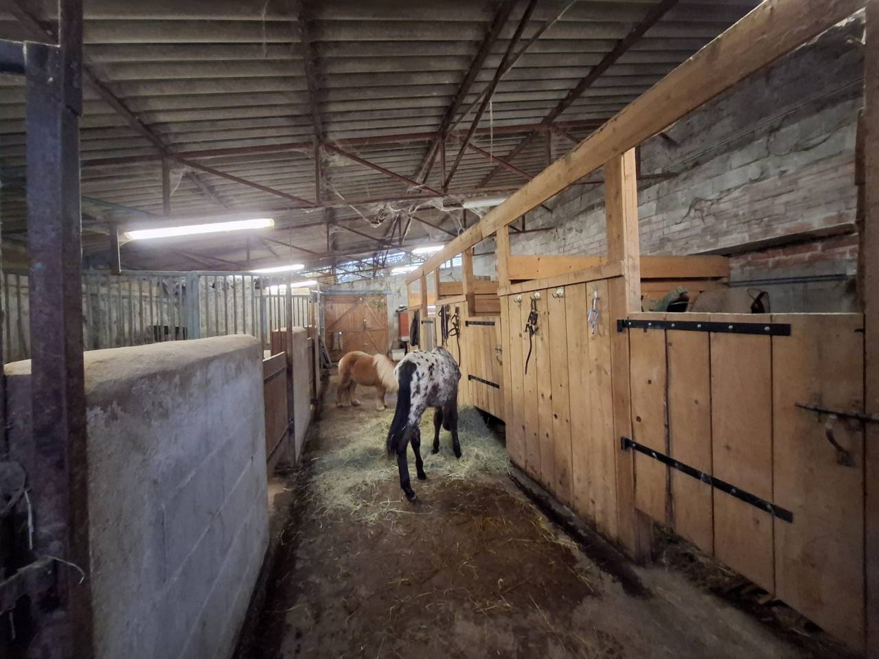 Scuderia per proprietari In vendita Allier