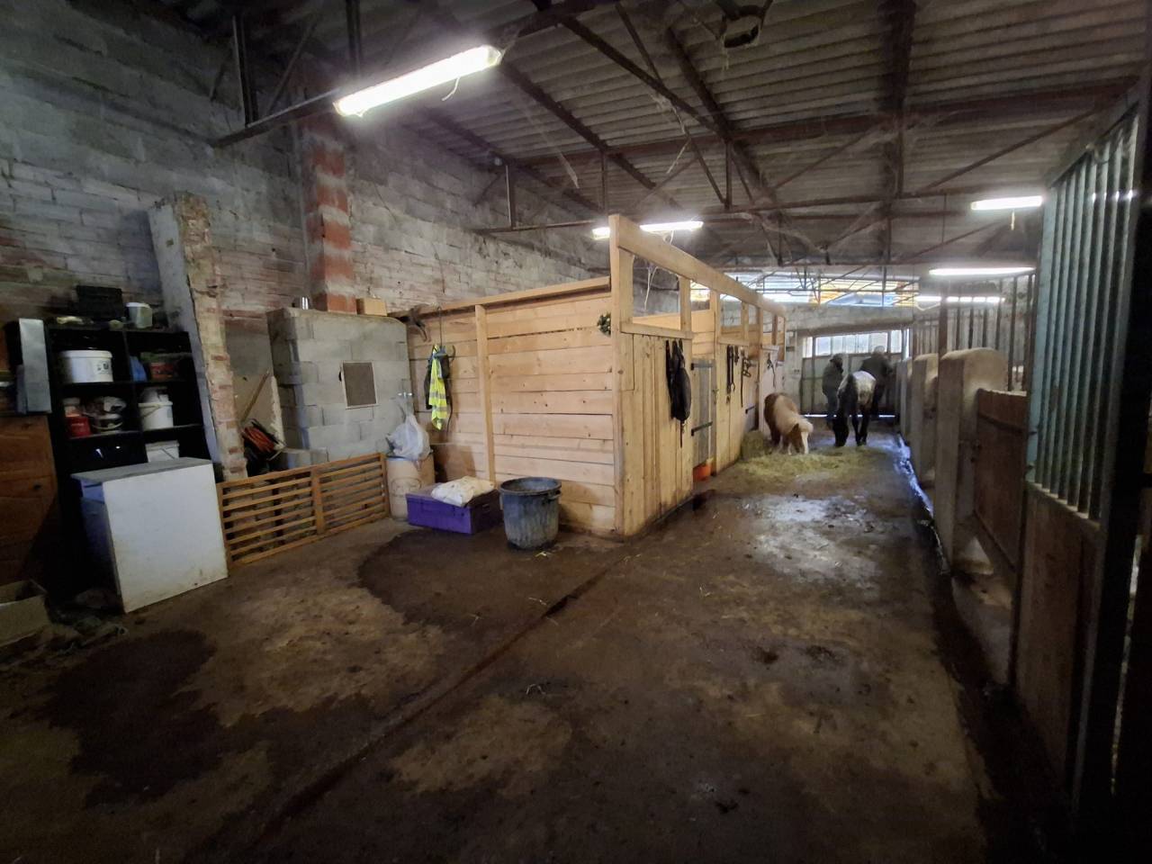 Scuderia per proprietari In vendita Allier