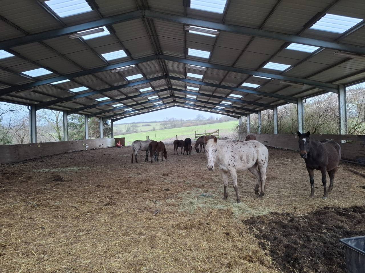 Scuderia per proprietari In vendita Allier