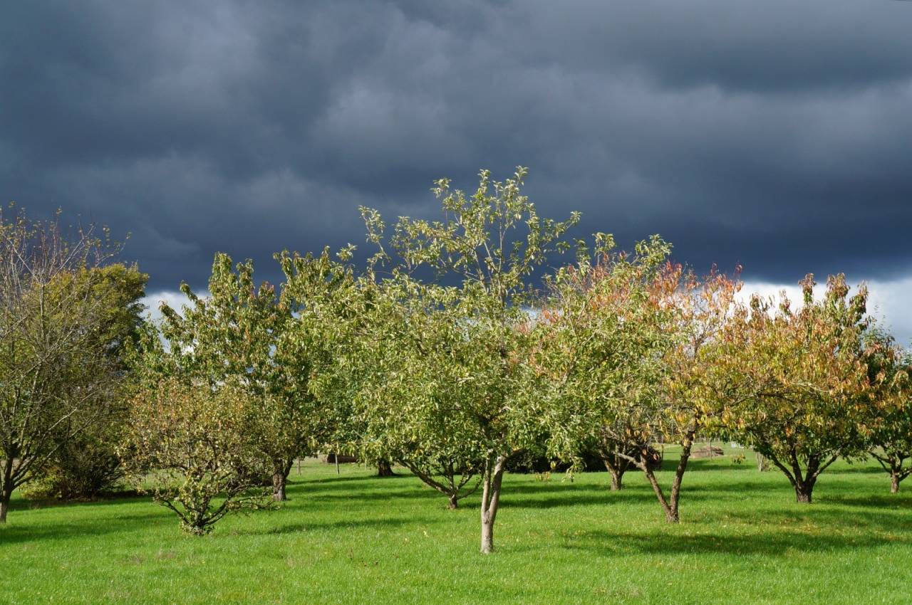 Propriet&agrave; equestre In vendita Orne