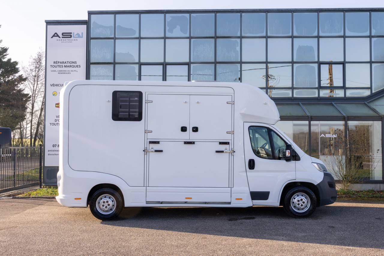 Van per Cavalli Fiat  FIAT DUCATO 2016 Occasione