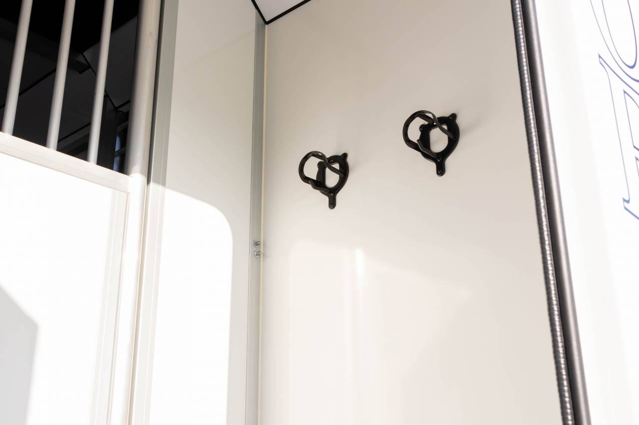 Van per Cavalli Fiat  FIAT DUCATO 2016 Occasione