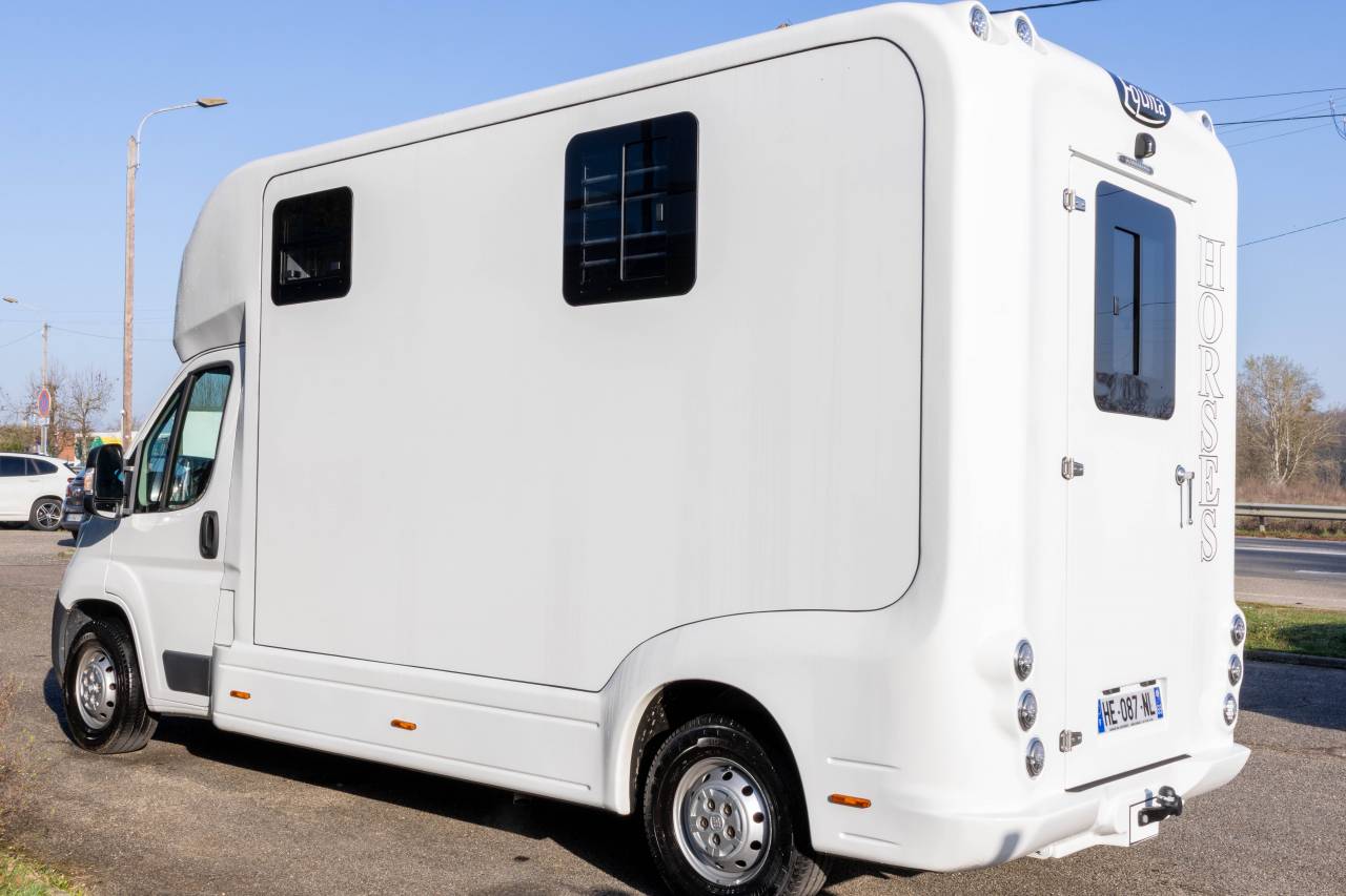 Van per Cavalli Fiat  FIAT DUCATO 2016 Occasione