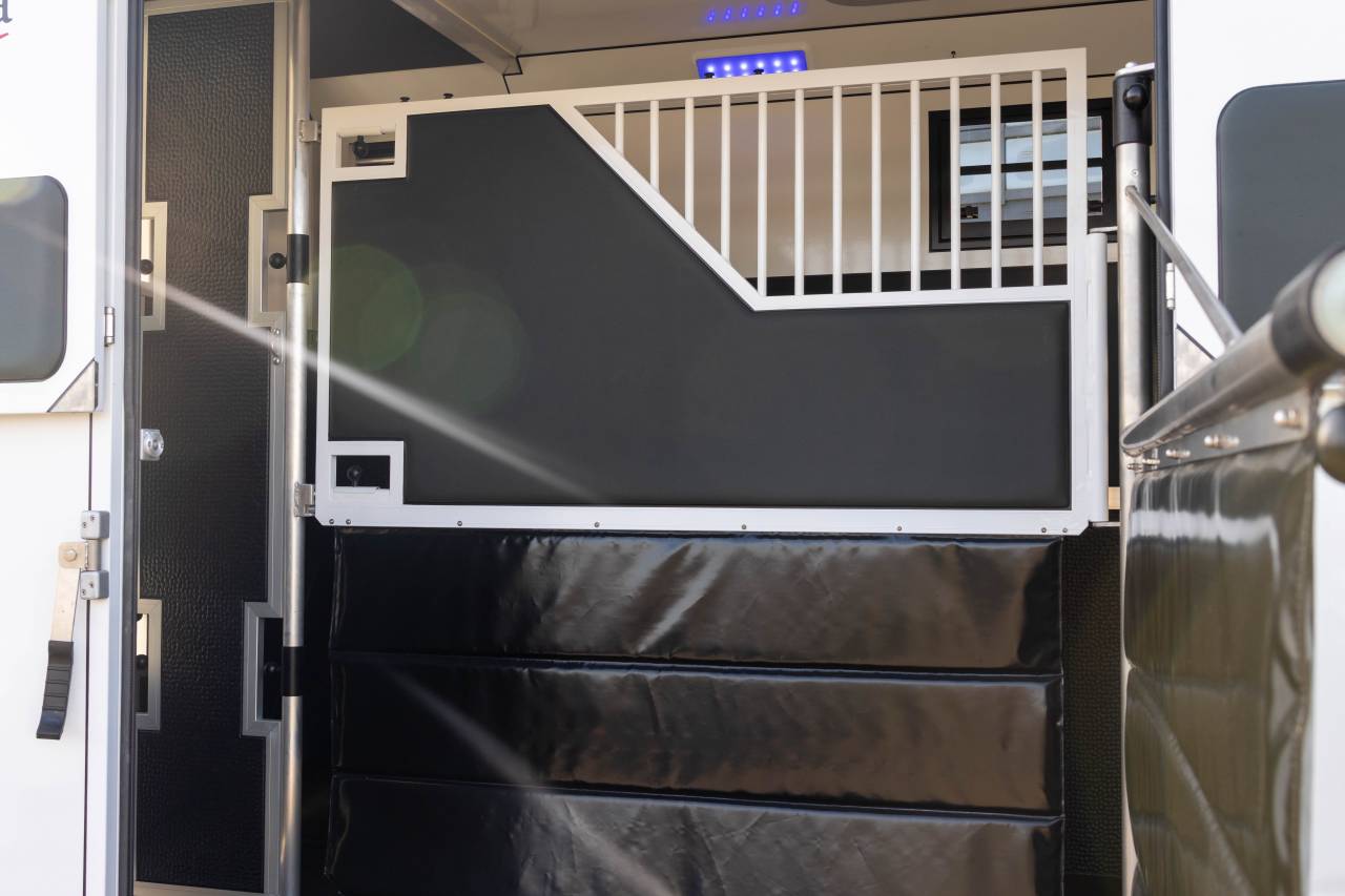 Van per Cavalli Fiat  FIAT DUCATO 2016 Occasione