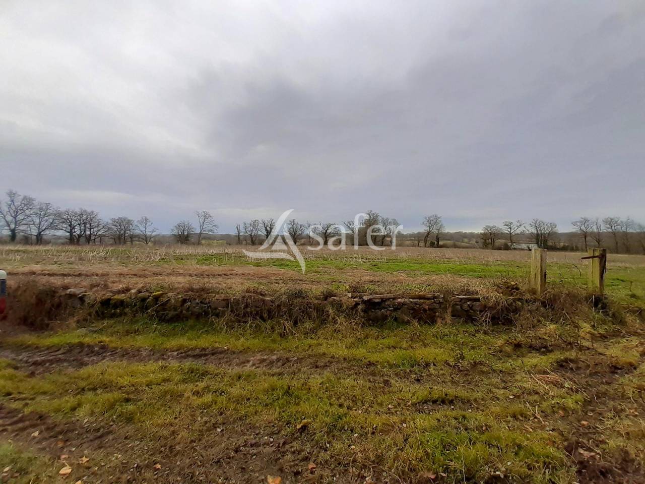 Azienda agricola In vendita Vienne