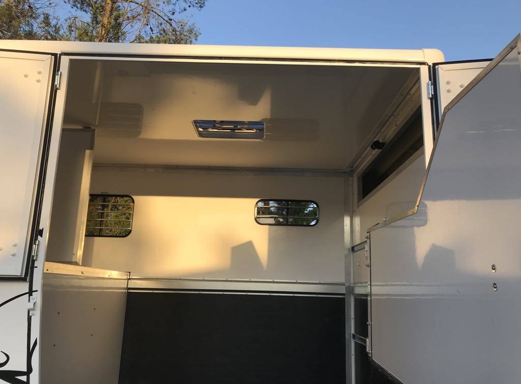 Van per Cavalli Renault  2015 Occasione