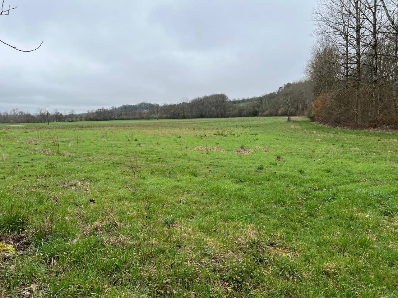 Propriet&agrave; equestre In vendita Dordogne