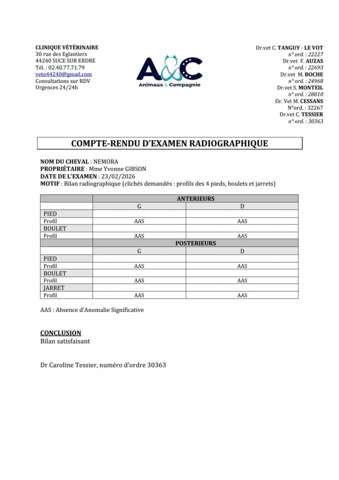 Puledra Sella Francese In vendita 2023 Baio ,  Casallo z