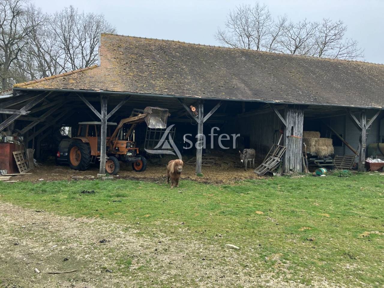 Azienda agricola In vendita Yonne