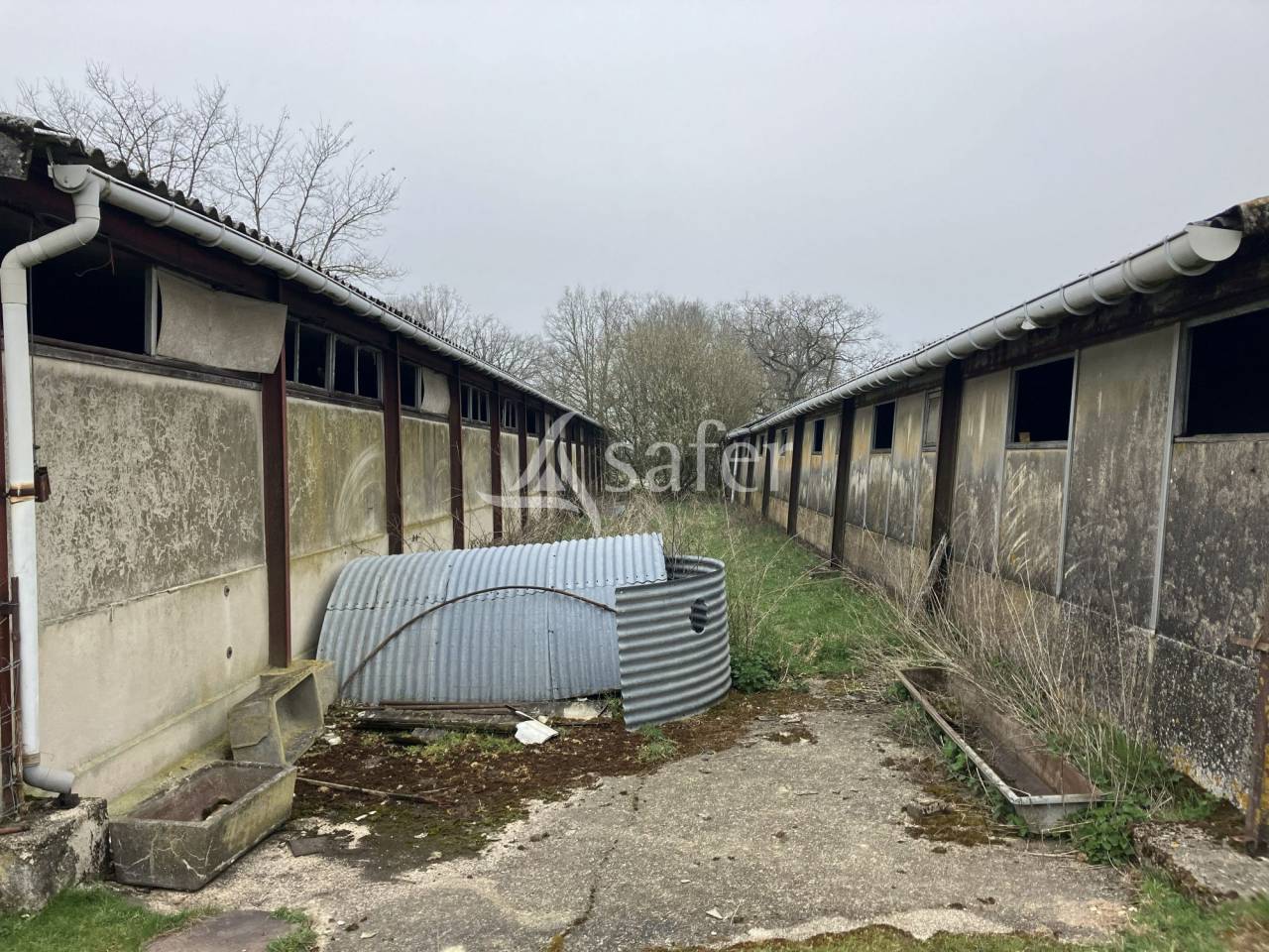 Azienda agricola In vendita Yonne