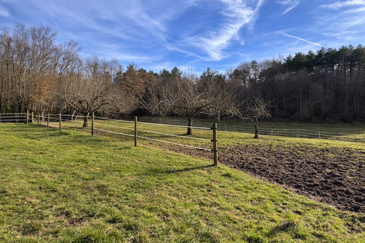 Propriet&agrave; equestre In vendita Corr&egrave;ze