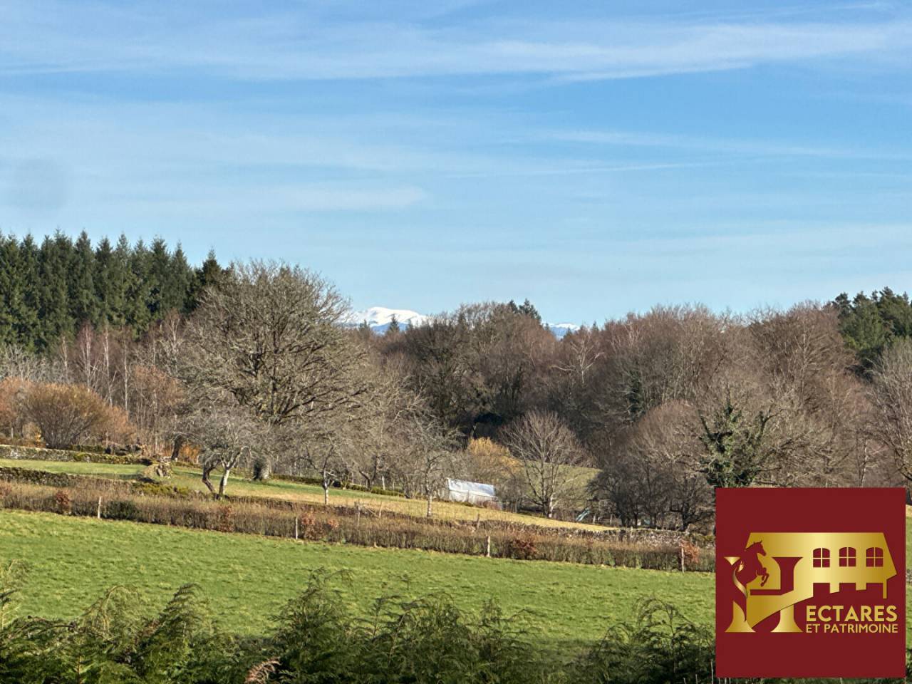 Propriet&agrave; equestre In vendita Corr&egrave;ze