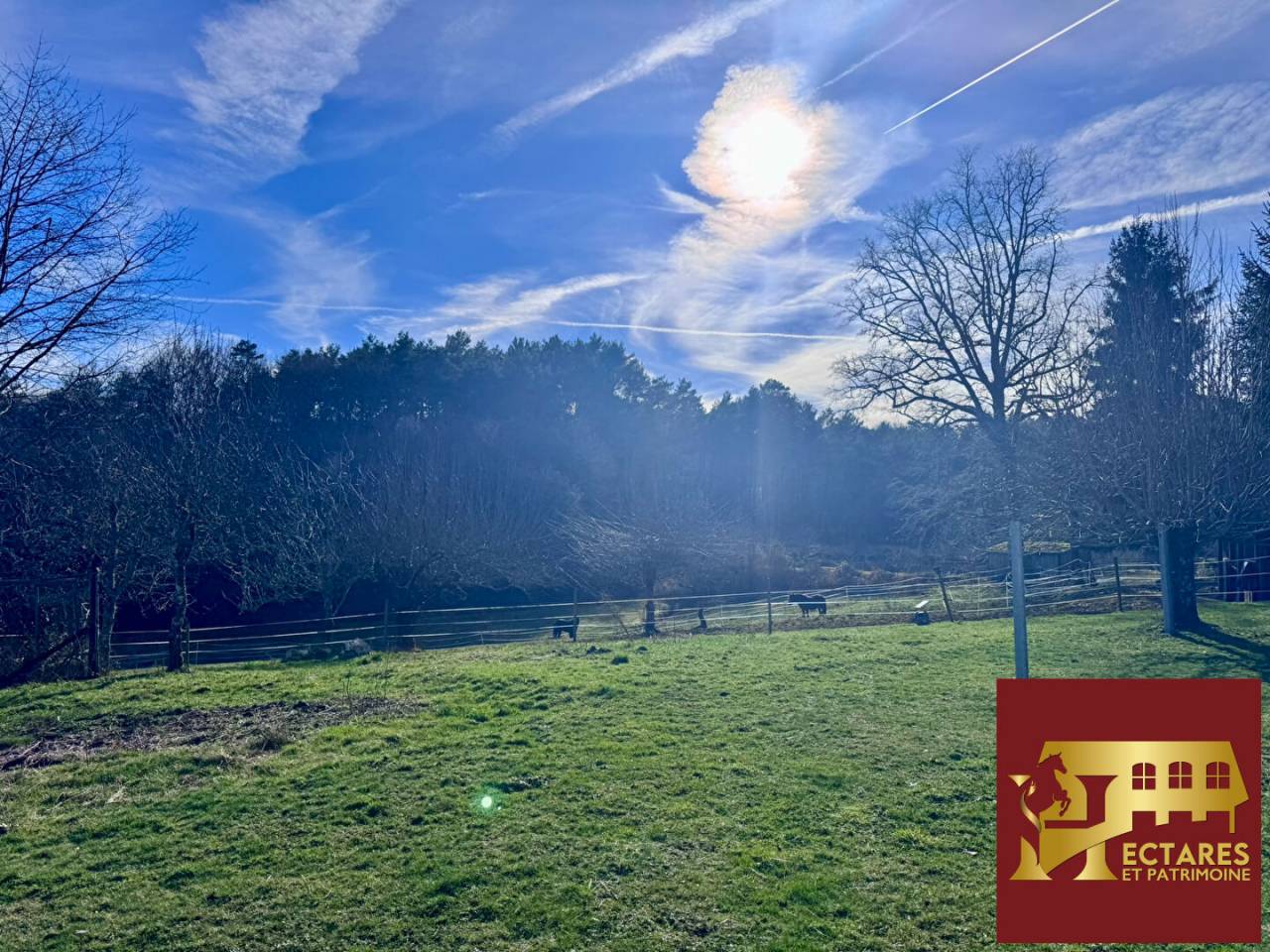 Propriet&agrave; equestre In vendita Corr&egrave;ze