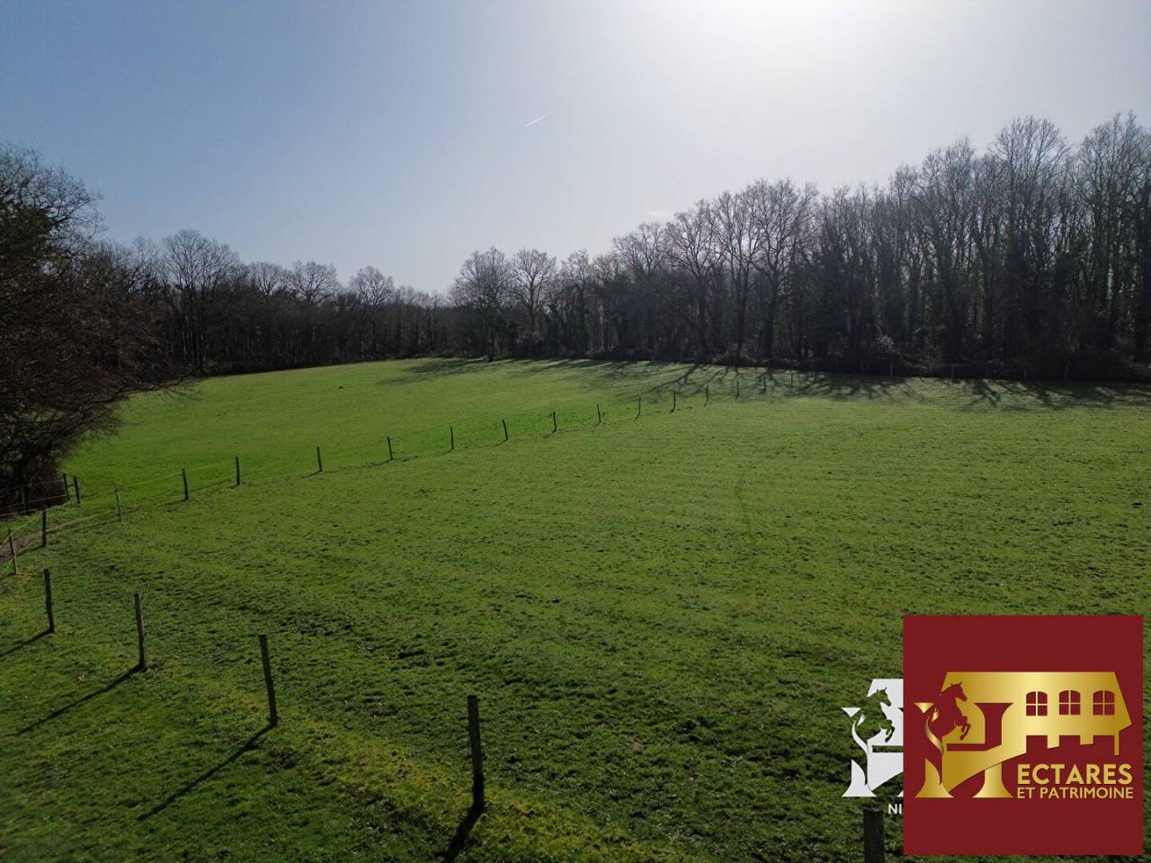 Propriet&agrave; equestre In vendita Loire-Atlantique