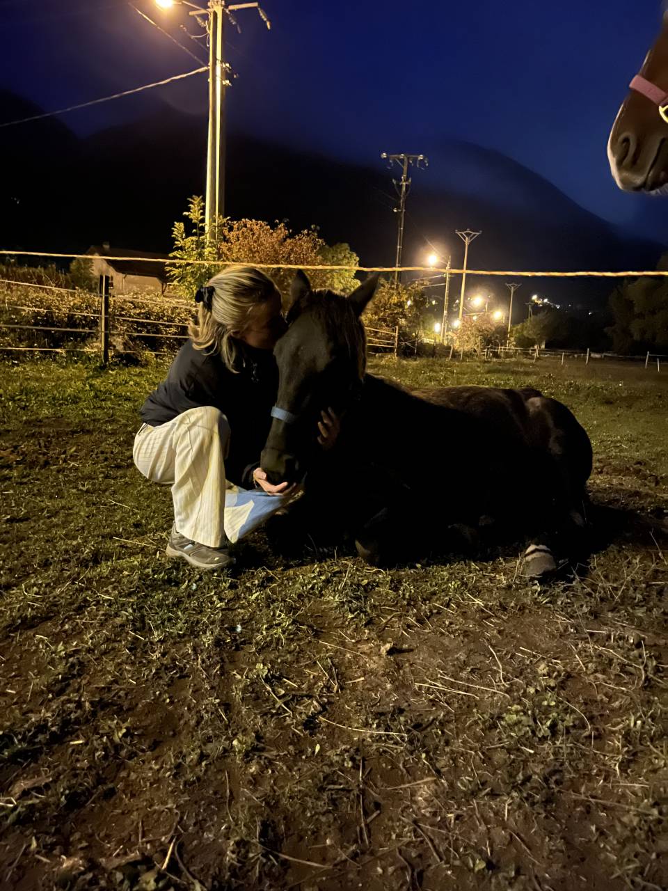 Intero Spagnolo Normando In vendita 2024 Nero ,  KANSAS DU RIOTORD