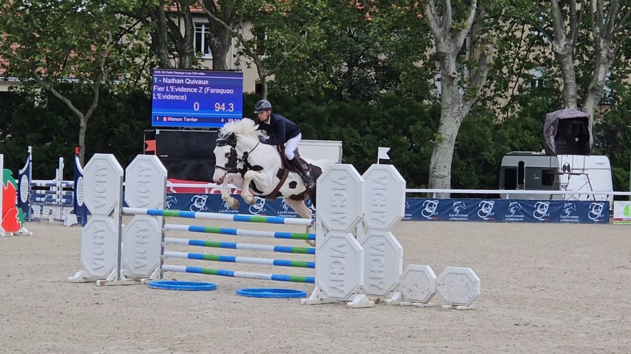 Fier l&rsquo;Evidence Z - Zangersheide 2019 ,  faraquao l &eacute;vidence