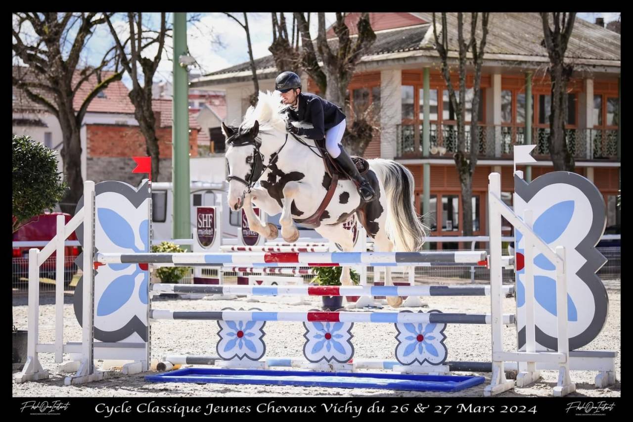 Fier l&rsquo;Evidence Z - Zangersheide 2019 ,  faraquao l &eacute;vidence