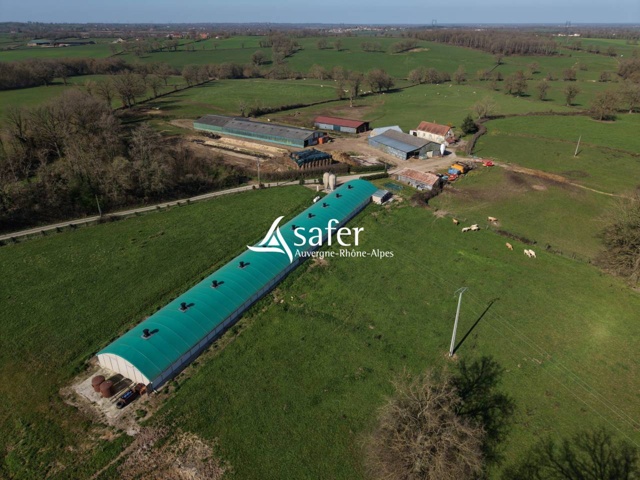 Azienda avicola In vendita Allier